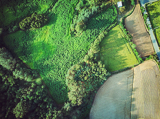 포토 JPG 주간 나무 여행 한국 풍경 사람없음 야외 관광지 하이앵글 세계문화유산 문화재 가을 항공촬영 논산 국내여행 전경 돈암서원 국내포토 자연요소 식물 계절 아시아 뷰포인트 충청남도 서원 파일형식 탑뷰