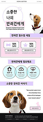 PSD 템플릿 ZIP 반려견 분홍색 웹템플릿 두마리 사람없음 반려동물 쇼핑 세일 개 강아지 비글 애견용품 뉴스레터 반려 이미지템플릿 반려용품 동물 컬러 2 포유류 오브젝트 파일형식