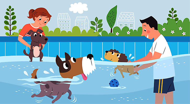 구름 여자 남자 꽃 반려견 일러스트 공 물놀이 나뭇잎 수영장 세마리 사람 상반신 두명 반려동물 수영 강아지 돌봄 반려 펫시터 돌봄서비스 국내일러스트 AI파일 자연요소 식물 동물 직업 잎 모션 놀이 3 수상스포츠 개 서비스 파일형식 벡터