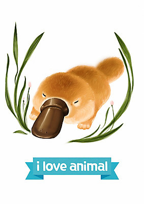 PSD 한마리 잎 일러스트 사람없음 귀여움 흰색 오리너구리 국내일러스트 식물 1 컬러 컨셉 파일형식