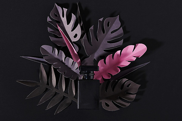 포토 JPG 스튜디오촬영 식물 꽃 종이 검은배경 실내 사람없음 한개 공백 페이퍼아트 향수 오브젝트 공병 목업 국내포토 1 백그라운드 내부 검은색 화장품 병_담는 파일형식