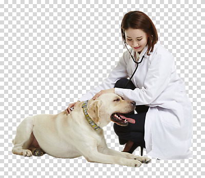 전신 편집 편집이미지 한마리 우먼라이프 여자 청진기 사랑 한명 누끼 사람 앉기 성인 옆모습 30대 진료 한국인 의사가운 도움 골든리트리버 강아지 보호 동물보호 PNG 수의사 반려 성인여자한명만 편집소스 1 라이프스타일 감정 뷰포인트 컨셉 의학 의료기기 모션 동양인 장년 반려동물 의사 가운 개 리트리버 사회이슈 여자한명만 성인여자만 파일형식