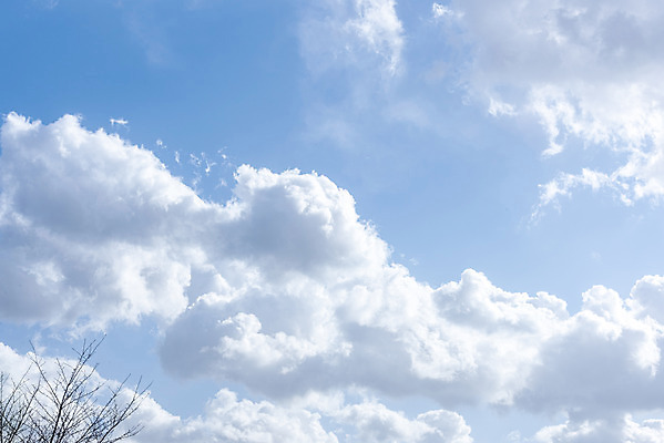 포토 JPG 주간 구름 로우앵글 하늘 날씨 풍경 사람없음 야외 파란색 맑음 봄 나뭇가지 국내포토 자연요소 나무 계절 뷰포인트 컬러 파일형식