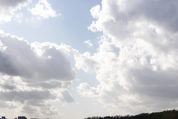 포토 JPG 주간 나무 구름 하늘 날씨 풍경 사람없음 야외 파란색 맑음 봄 국내포토 자연요소 식물 계절 컬러 파일형식
