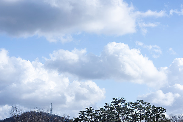포토 JPG 주간 나무 구름 하늘 날씨 풍경 사람없음 야외 파란색 맑음 봄 국내포토 자연요소 식물 계절 컬러 파일형식