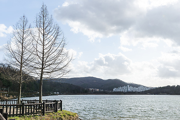 포토 JPG 주간 나무 구름 호수 하늘 날씨 풍경 사람없음 야외 파란색 맑음 봄 국내포토 자연요소 식물 계절 컬러 파일형식