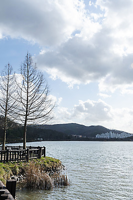 포토 JPG 주간 나무 구름 호수 하늘 날씨 풍경 사람없음 야외 파란색 맑음 봄 국내포토 자연요소 식물 계절 컬러 파일형식