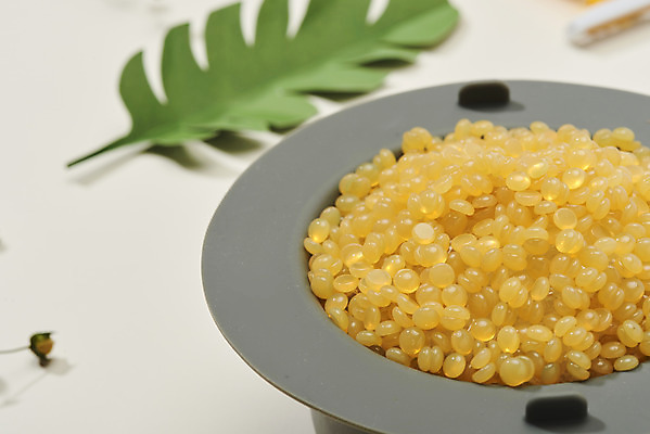 포토 JPG 스튜디오촬영 식물 잎 실내 사람없음 여름 뷰티 오브젝트 몬스테라 왁싱 제모 피부과 하드왁스 국내포토 계절 병원 내부 왁스 파일형식