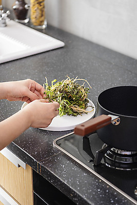 포토 JPG 스튜디오촬영 손 여자 음식 40대 중년 식재료 주방용품 실내 한명 신체부위 주방 회색 한국인 가스레인지 냄비 준비 냉이 중년여자한명만 국내포토 1 컬러 생활용품 채소 사람 동양인 성인 내부 가전제품 레인지 솥 여자한명만 중년여자만 파일형식