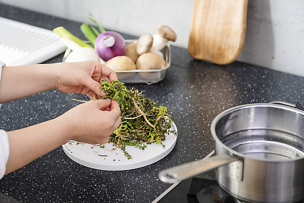 포토 JPG 스튜디오촬영 손 여자 음식 40대 중년 식재료 주방용품 양파 실내 한명 신체부위 주방 버섯 회색 한국인 가스레인지 냄비 준비 파 나무도마 냉이 중년여자한명만 국내포토 1 컬러 생활용품 채소 도마 사람 동양인 성인 내부 목재 가전제품 레인지 솥 여자한명만 중년여자만 파일형식