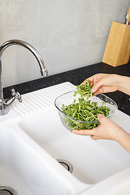 포토 JPG 스튜디오촬영 손 여자 40대 중년 식재료 실내 한명 신체부위 주방 회색 한국인 씻기 재료손질 싱크대 준비 손질 돌나물 중년여자한명만 국내포토 1 컬러 채소 사람 동양인 성인 내부 청결 개수대 여자한명만 중년여자만 파일형식