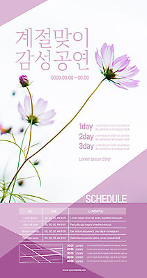 템플릿 계절 꽃 포스터 분홍색 사람없음 공연 로맨틱 코스모스 감성 포스터템플릿 이미지템플릿 AI파일 식물 컬러 컨셉 이벤트 파일형식 벡터