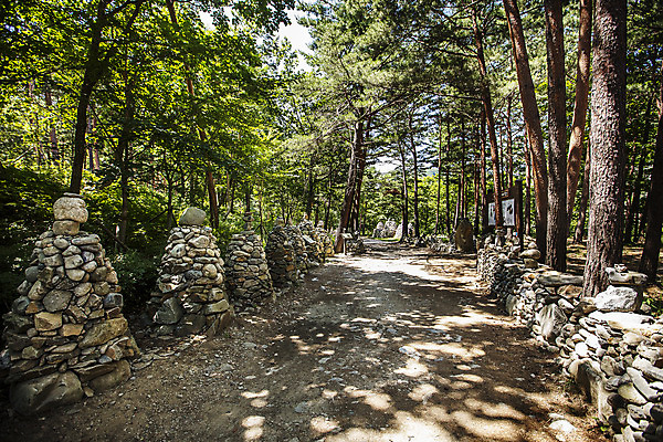 포토 JPG 주간 나무 여행 풍경 사람없음 야외 석탑 강원도 숲길 강릉 노추산 모정탑길 국내포토 자연요소 식물 길 산 한국 탑 파일형식