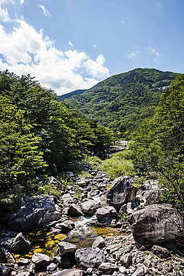 포토 JPG 주간 여행 하늘 산 풍경 사람없음 야외 계곡 바위 강원도 무릉계곡 동해시 국내포토 자연요소 한국 돌_바위 파일형식
