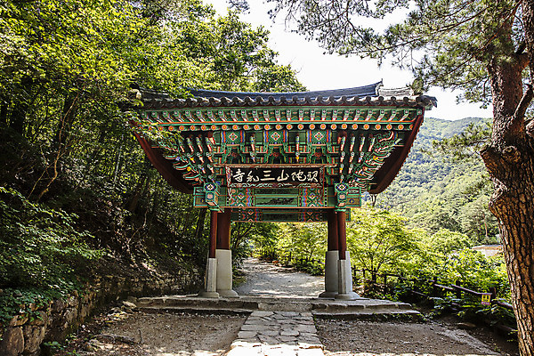 포토 JPG 주간 나무 여행 산 풍경 사람없음 야외 계곡 바위 강원도 무릉계곡 동해시 삼화사 국내포토 자연요소 식물 한국 돌_바위 사찰 파일형식 동해_강원도