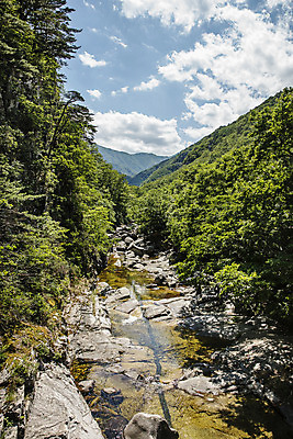 포토 JPG 주간 여행 하늘 산 풍경 사람없음 계곡 바위 강원도 무릉계곡 동해시 국내포토 자연요소 한국 돌_바위 파일형식