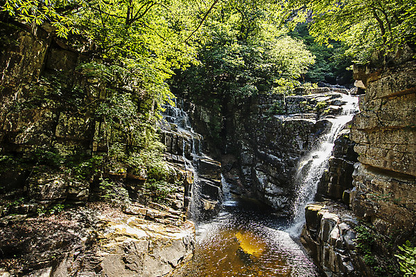 포토 JPG 주간 나무 여행 산 풍경 사람없음 야외 계곡 폭포 바위 강원도 무릉계곡 동해시 쌍추폭포 국내포토 자연요소 식물 자연 한국 돌_바위 파일형식 동해_강원도