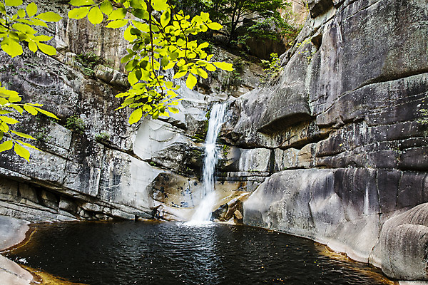 포토 JPG 주간 나무 여행 산 풍경 사람없음 야외 계곡 폭포 바위 강원도 무릉계곡 동해시 용추폭포 국내포토 자연요소 식물 자연 한국 돌_바위 파일형식 동해_강원도