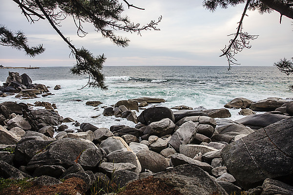 포토 JPG 주간 나무 바다 여행 풍경 사람없음 야외 바위 강원도 양양군 죽도해변 국내포토 자연요소 식물 한국 돌_바위 양양 파일형식