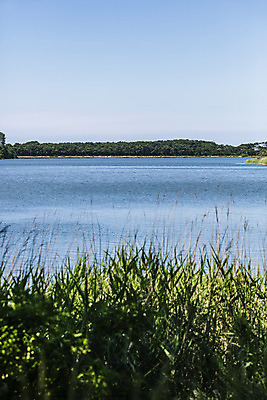 포토 JPG 주간 호수 여행 하늘 산 풍경 사람없음 야외 풀 강원도 고성_강원도 화진포 국내포토 자연요소 식물 한국 파일형식