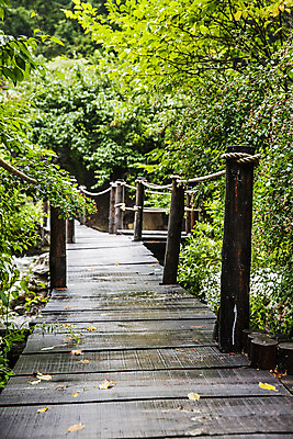 포토 JPG 주간 여행 풍경 사람없음 야외 산책로 숲 강원도 태백 국내포토 자연요소 길 한국 파일형식