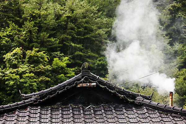 포토 JPG 주간 나무 여행 지붕 굴뚝 풍경 사람없음 야외 연기 숲 강원도 태백 국내포토 자연요소 식물 한국 파일형식