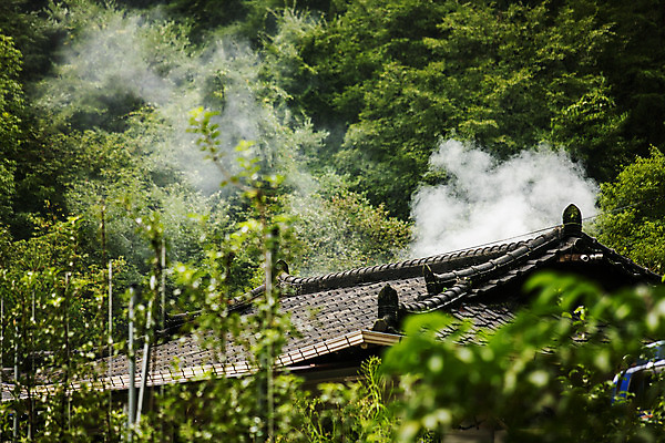 포토 JPG 주간 나무 여행 지붕 굴뚝 풍경 사람없음 야외 연기 숲 강원도 태백 국내포토 자연요소 식물 한국 파일형식
