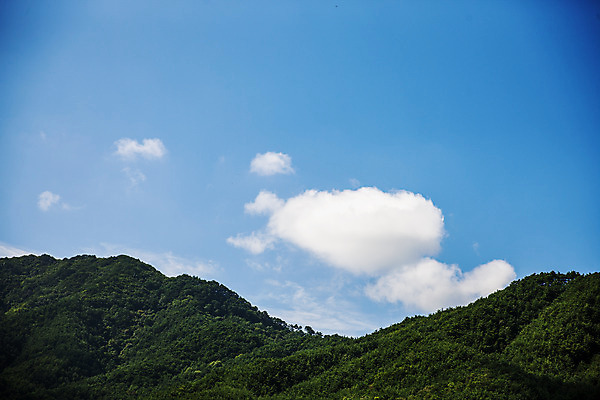 포토 JPG 주간 나무 구름 여행 하늘 산 풍경 사람없음 야외 숲 강원도 수목원 태백 백두대간수목원 국내포토 자연요소 식물 한국 파일형식