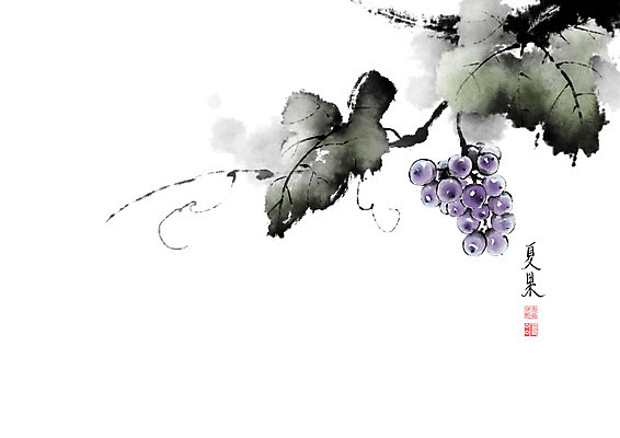 PSD 나무 줄기 잎 과일 일러스트 캘리그라피 포도 붓터치 사람없음 여름 번짐 포도넝쿨 포도잎 포도줄기 국내일러스트 식물 계절 덩굴 파일형식 효과