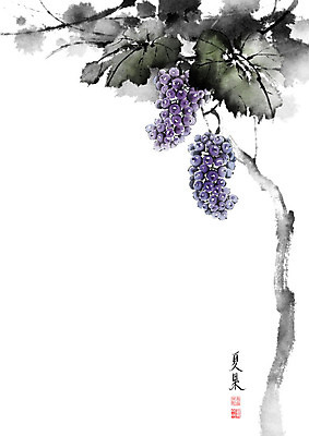 PSD 나무 줄기 잎 과일 일러스트 캘리그라피 포도 붓터치 사람없음 여름 번짐 포도넝쿨 포도잎 포도줄기 국내일러스트 식물 계절 덩굴 파일형식 효과