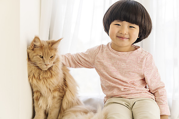 포토 JPG 한마리 남자 어린이 실내 한명 미소 앉기 상반신 앞모습 반려동물 고양이 한국인 즐거움 반려 소년한명만 쓰다듬기 반려묘 메인쿤 국내포토 동물 1 감정 뷰포인트 포유류 모션 표정 사람 동양인 내부 남자한명만 소년만 파일형식