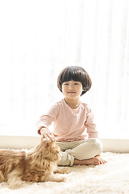 포토 JPG 전신 한마리 남자 어린이 실내 한명 앉기 앞모습 반려동물 고양이 한국인 즐거움 반려 소년한명만 쓰다듬기 반려묘 메인쿤 국내포토 동물 1 감정 뷰포인트 포유류 모션 사람 동양인 내부 남자한명만 소년만 파일형식