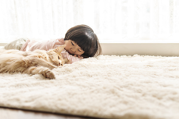 포토 JPG 한마리 응시 남자 어린이 엎드리기 실내 한명 상반신 옆모습 반려동물 고양이 한국인 잠 즐거움 반려 소년한명만 반려묘 메인쿤 국내포토 동물 1 시선 감정 뷰포인트 포유류 모션 사람 동양인 내부 남자한명만 소년만 파일형식