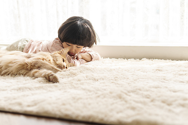 포토 JPG 한마리 응시 남자 어린이 엎드리기 실내 한명 상반신 옆모습 반려동물 고양이 한국인 잠 즐거움 반려 소년한명만 반려묘 메인쿤 국내포토 동물 1 시선 감정 뷰포인트 포유류 모션 사람 동양인 내부 남자한명만 소년만 파일형식