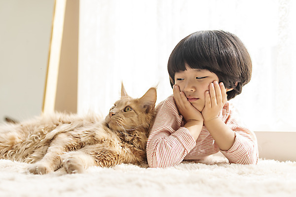 포토 JPG 한마리 남자 어린이 엎드리기 실내 한명 상반신 앞모습 반려동물 고양이 턱괴기 한국인 즐거움 반려 소년한명만 반려묘 메인쿤 국내포토 동물 1 감정 뷰포인트 포유류 모션 사람 동양인 내부 남자한명만 소년만 파일형식