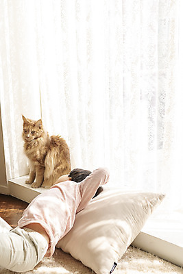 포토 JPG 한마리 남자 어린이 장난 실내 한명 상반신 옆모습 반려동물 눕기 고양이 한국인 즐거움 반려 소년한명만 반려묘 메인쿤 국내포토 동물 1 감정 뷰포인트 포유류 모션 사람 동양인 내부 남자한명만 소년만 파일형식