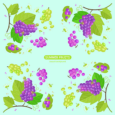 PSD 꽃 백그라운드 잎 패턴 과일 일러스트 포도 사람없음 여름 파란색 청포도 국내일러스트 식물 계절 컬러 무늬 파일형식