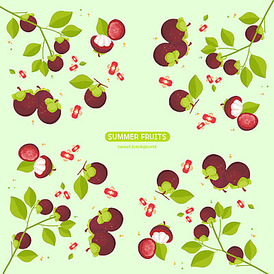 PSD 꽃 백그라운드 잎 패턴 과일 일러스트 사람없음 여름 갈색 망고스틴 국내일러스트 식물 계절 컬러 무늬 파일형식