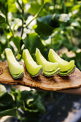 포토 JPG 주간 과일 사람없음 야외 멜론 전라남도 특산물 슬라이스 지역 비닐하우스 곡성 국내포토 자연요소 농업 전라도 파일형식