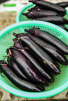 포토 JPG 주간 밭 가지 사람없음 야외 바구니 여러개 유기농 특산물 지역 비닐하우스 충청북도 보은 국내포토 자연요소 웰빙 다수 농업 채소 충청도 파일형식