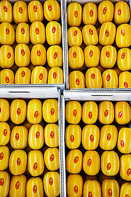 포토 JPG 주간 과일 사람없음 야외 여러개 경상북도 특산물 참외 지역 박스포장 제철 성주 성주참외 제철과일 과채 국내포토 자연요소 다수 채소 포장 경상도 파일형식