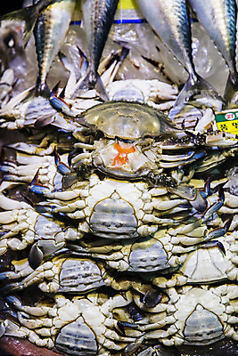 포토 JPG 주간 여러마리 한국 어류 풍경 근접촬영 사람없음 야외 꽃게 전라북도 군산 수산물위판장 국내포토 자연요소 산업 아시아 뷰포인트 다수 수중동물 게 전라도 파일형식