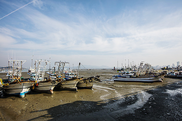 포토 JPG 주간 여행 한국 풍경 사람없음 야외 관광지 항구 어선 전라북도 국내여행 군산 밀물 선박 국내포토 자연요소 아시아 바다 수상교통 배_교통 교통시설 전라도 파일형식