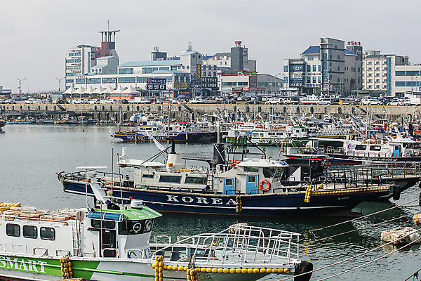 포토 JPG 주간 바다 여행 한국 풍경 사람없음 야외 관광지 항구 어선 전라북도 국내여행 군산 서해 비응항 국내포토 자연요소 아시아 배_교통 교통시설 전라도 파일형식