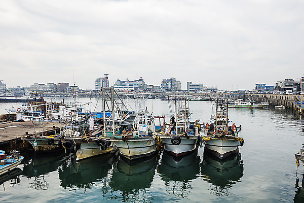 포토 JPG 주간 바다 여행 한국 풍경 사람없음 야외 관광지 항구 어선 전라북도 국내여행 군산 서해 비응항 국내포토 자연요소 아시아 배_교통 교통시설 전라도 파일형식