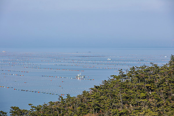 포토 JPG 주간 바다 여행 하늘 한국 풍경 사람없음 야외 관광지 어선 전라북도 양식장 국내여행 군산 김양식장 국내포토 자연요소 아시아 배_교통 전라도 시설 파일형식
