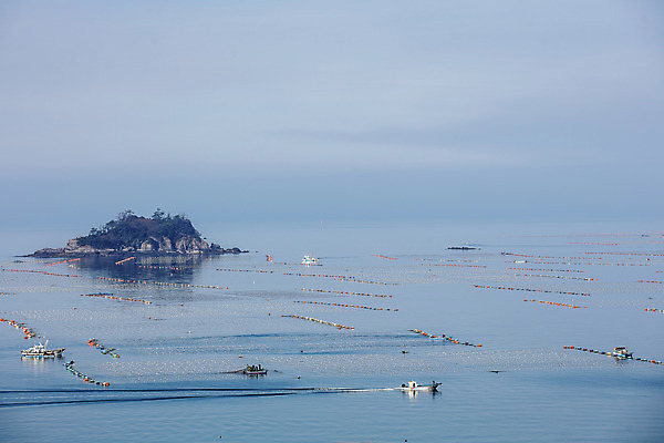 포토 JPG 주간 바다 여행 하늘 한국 풍경 사람없음 야외 관광지 어선 전라북도 양식장 국내여행 군산 김양식장 신시도 국내포토 자연요소 아시아 섬 배_교통 전라도 시설 파일형식