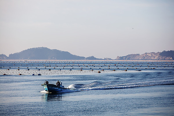포토 JPG 주간 바다 여행 한국 풍경 사람없음 야외 관광지 어선 전라북도 국내여행 군산 서해 김양식장 신시도 국내포토 자연요소 아시아 섬 배_교통 전라도 양식장 파일형식