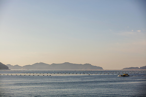 포토 JPG 주간 바다 여행 한국 풍경 사람없음 야외 관광지 어선 전라북도 국내여행 군산 서해 김양식장 신시도 국내포토 자연요소 아시아 섬 배_교통 전라도 양식장 파일형식
