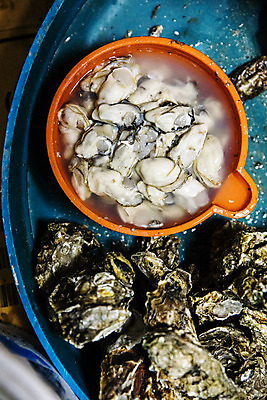 포토 JPG 주간 바다 여행 한국 풍경 사람없음 야외 관광지 굴 전라북도 국내여행 군산 서해 자연산 국내포토 자연요소 아시아 자연 어패류 전라도 파일형식